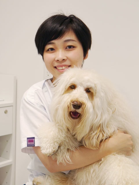 アビイ犬猫病院