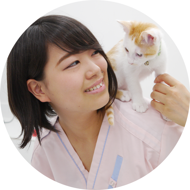 アビイ犬猫病院
