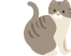 猫の健康診断